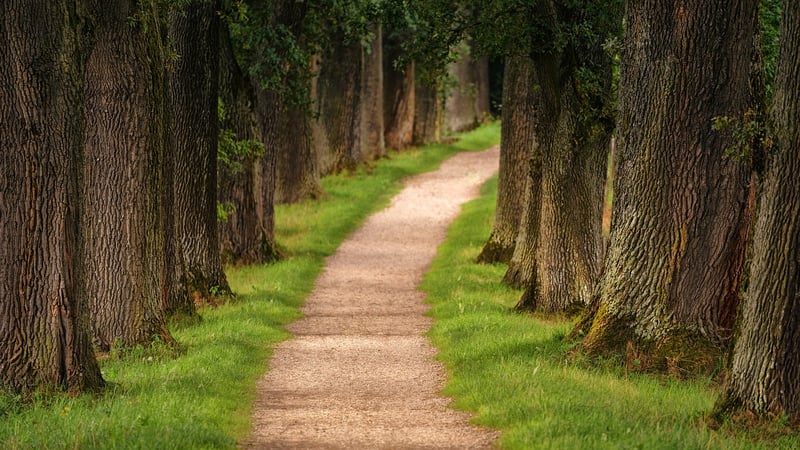 Hiking Trails